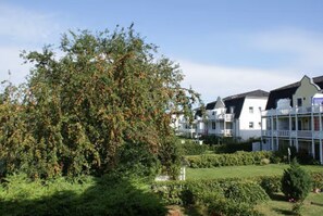Un edificio residenziale con diversi balconi, un giardino curato e un grande albero in primo piano.
