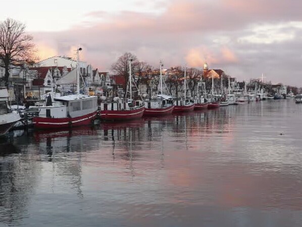 Marina