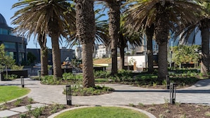 Un giardino curato con palme, un vialetto lastricato e una zona verdeggiante.