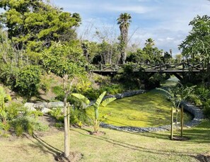 Garden - 101 Nine palms  (Cape Town)