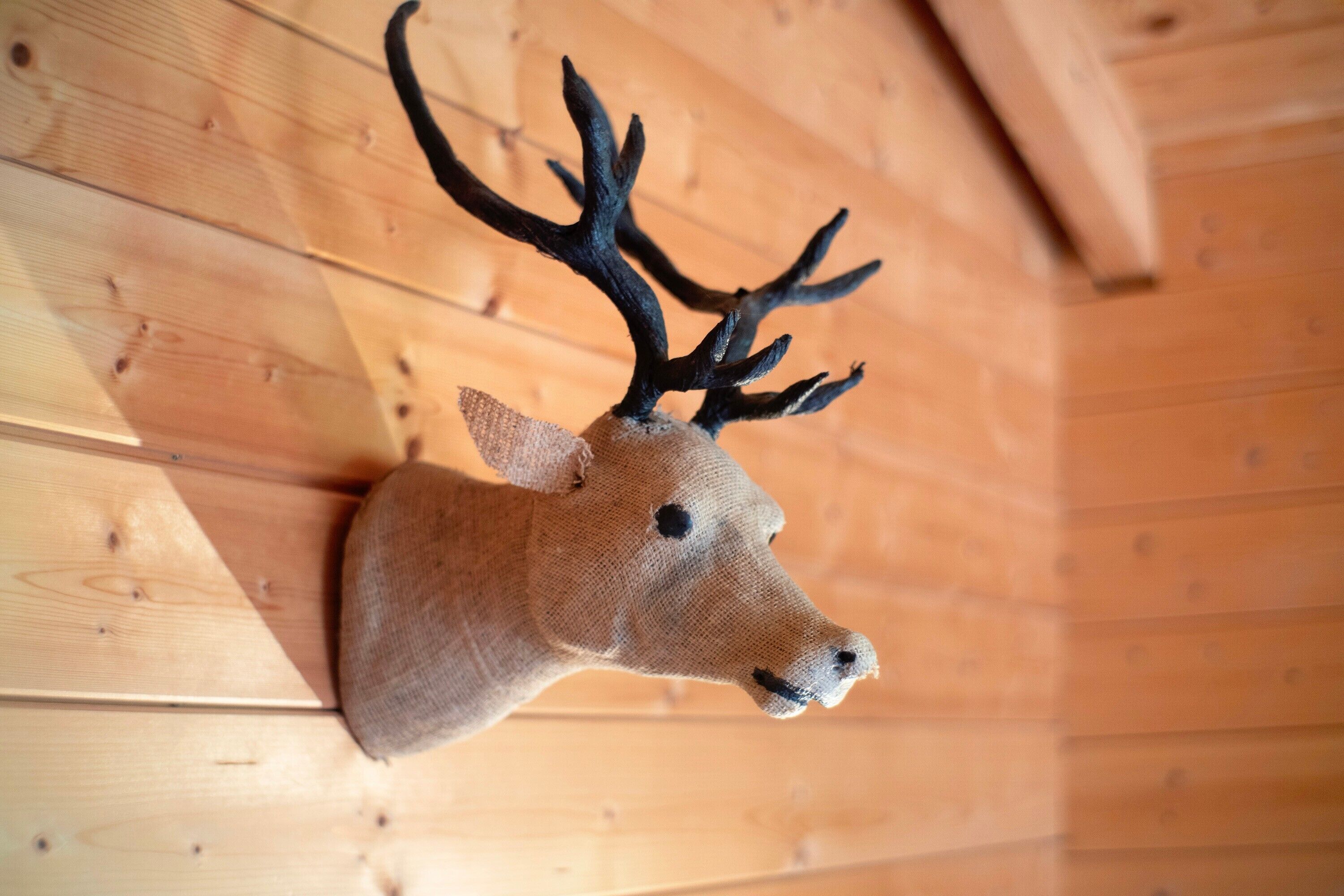 Ein aufgehängter Hirschkopf mit Geweihen vor einer Holzwand.