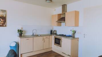 Fridge, microwave, stovetop, dishwasher