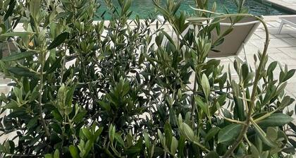 Suite Parentale Indépendante au Sein de la Maison D'hamih, Avec Petit-déjeuner