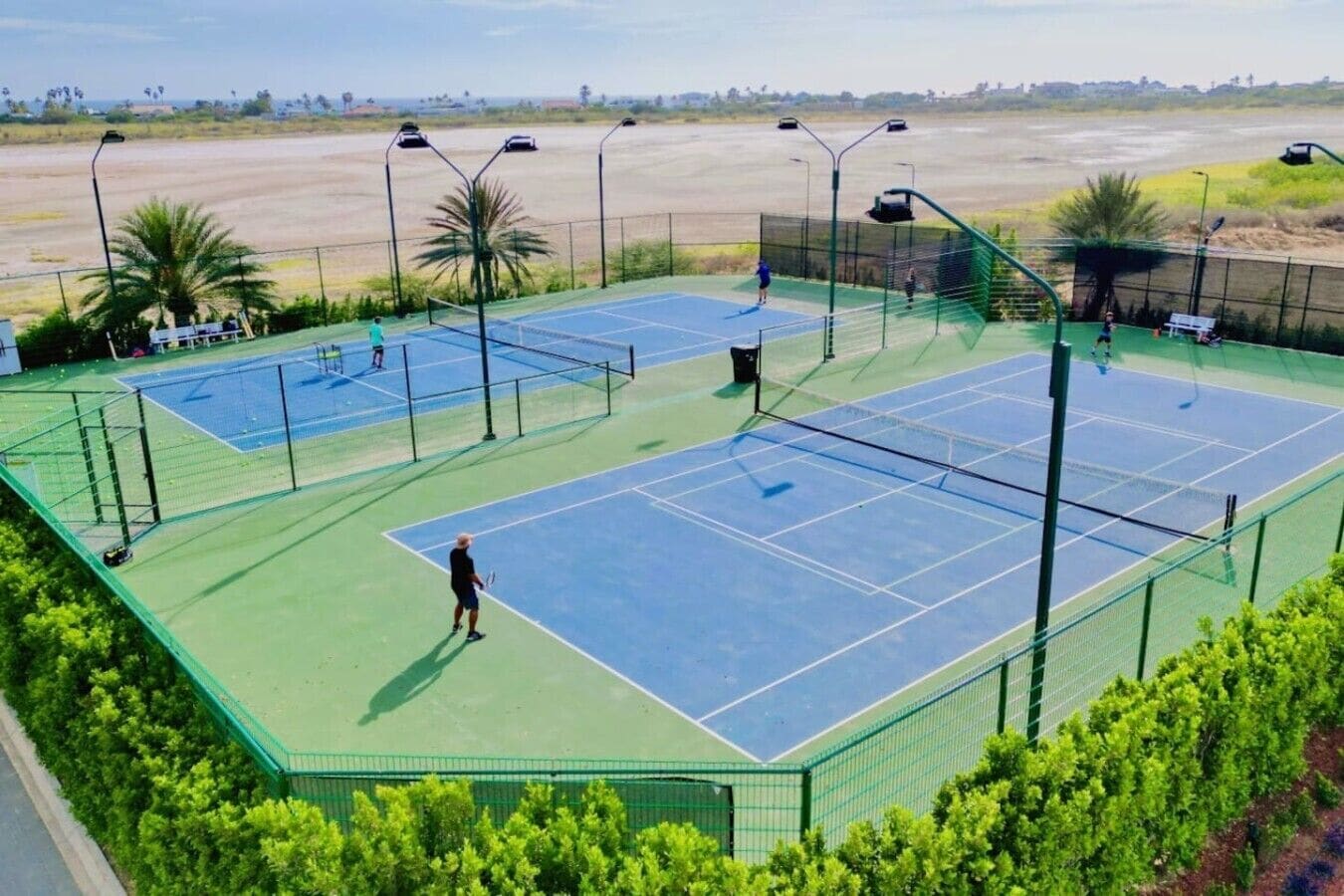 Ein Tennisplatz mit Netz, umgeben von einem grünen Zaun, im Hintergrund Palmen.