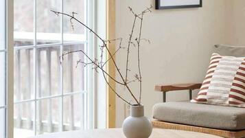 Télévision, cheminée, espaces bureaux