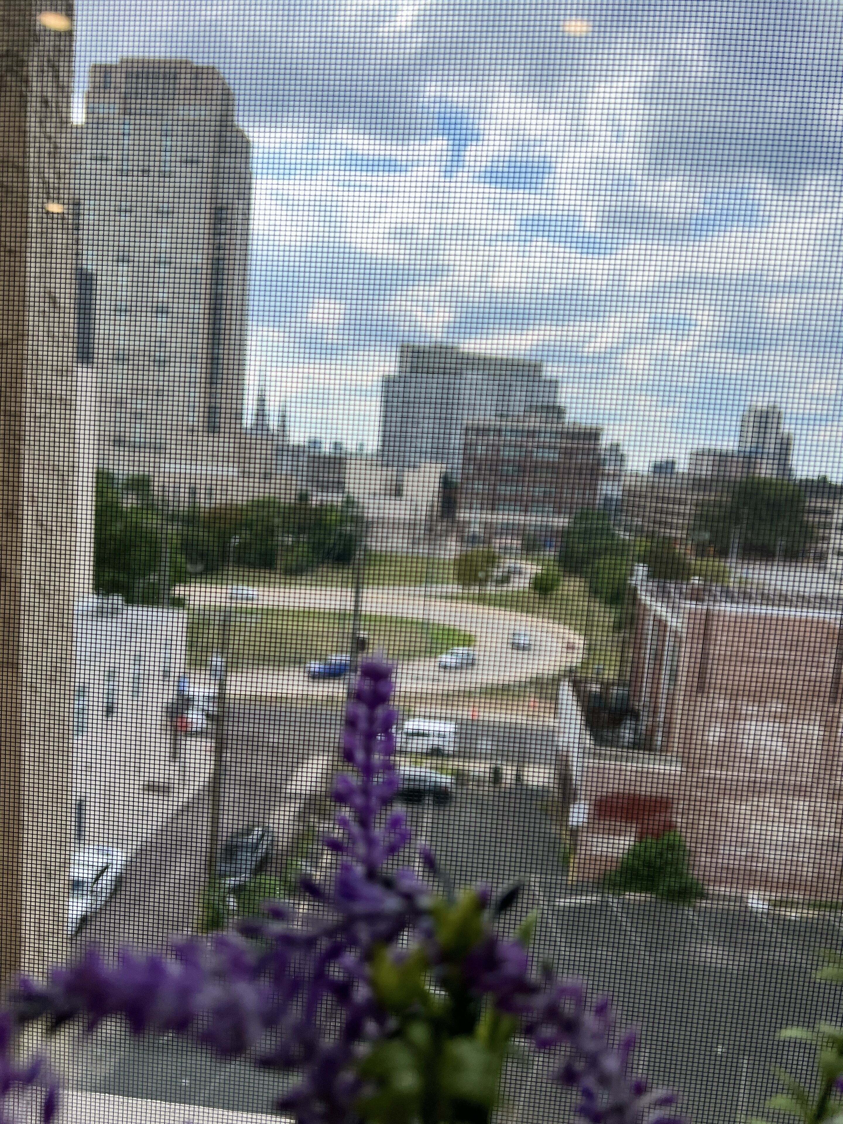 Vista a través de una ventana con mosquitera, mostrando un paisaje urbano con edificios y una glorieta.