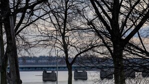 A river with a bridge in the background, surrounded by leafless trees.
