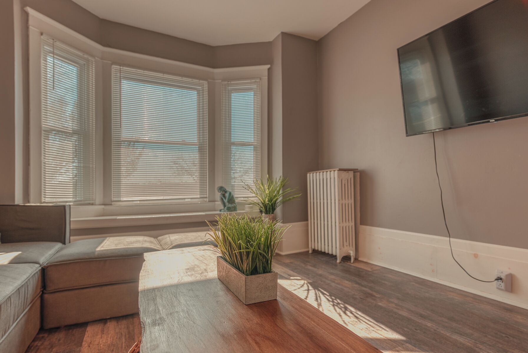 A modern living room with a sectional sofa, a wooden coffee table, and a potted plant. There are large windows with blinds, a radiator, and a TV mounted on the wall.