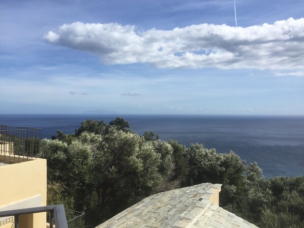 Vista desde la propiedad