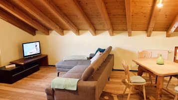Fernseher