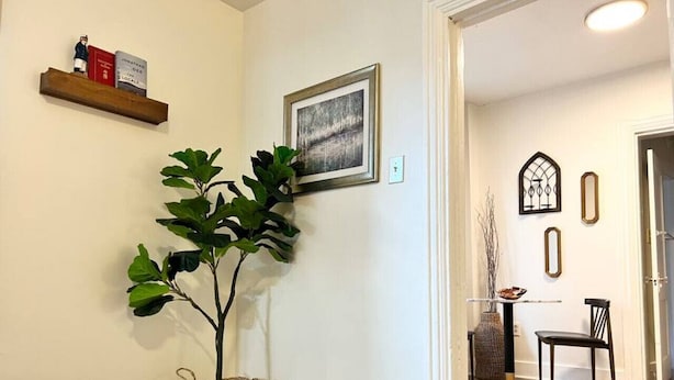 A room with a potted plant, a framed picture, a shelf with books, and a dining area with a chair and table.