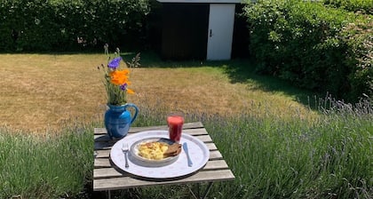 Havudsigt, 300 m til Bred Sandstrand, Smuk Natur 1 km til Hyggelig by med Cafeer