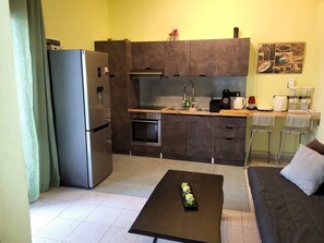 Quarto básico, 1 cama Queen e sofá-cama, para fumantes | Cozinha privada | Geladeira, chaleira elétrica, torradeira, liquidificador