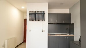 A modern kitchen with grey cabinets, a stainless steel sink, and a flat-screen TV mounted on the wall. - Convenient Budget Sunderland Studio with Views (Sunderland)