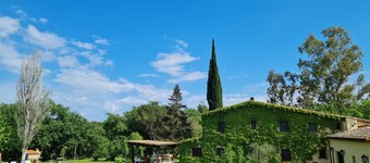 Converted farmhouse in rolling farmland and woods. Ideal for relaxing vacations.