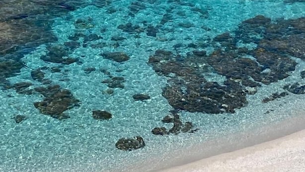 A beach with clear turquoise water and visible rocks. - Lispusada B&B (Sassari)