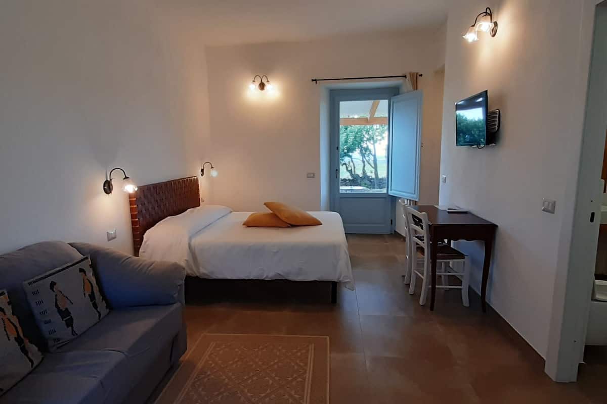 A bedroom with a bed, a sofa, a desk, and a TV.