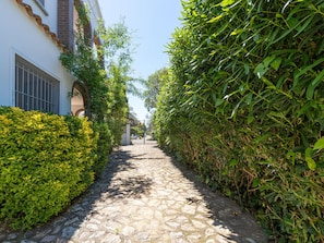 A narrow cobblestone path flanked by dense green hedges and a white building with a brick facade and barred windows.