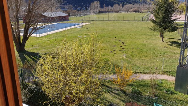 A view of a grassy field with a swimming pool, trees, and a building in the background. - Spacious 2-bedroom apartment with parking in Villanúa (Villanúa)