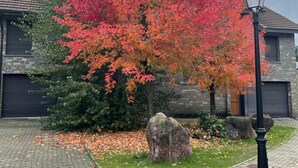 Ein Wohngebäude mit Steinverkleidung, einer Garage und einem gepflegten Garten mit Herbstlaub.