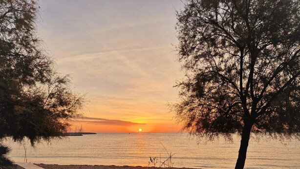 Een zonsondergang boven een rustige zee, met een zandstrand en bomen.