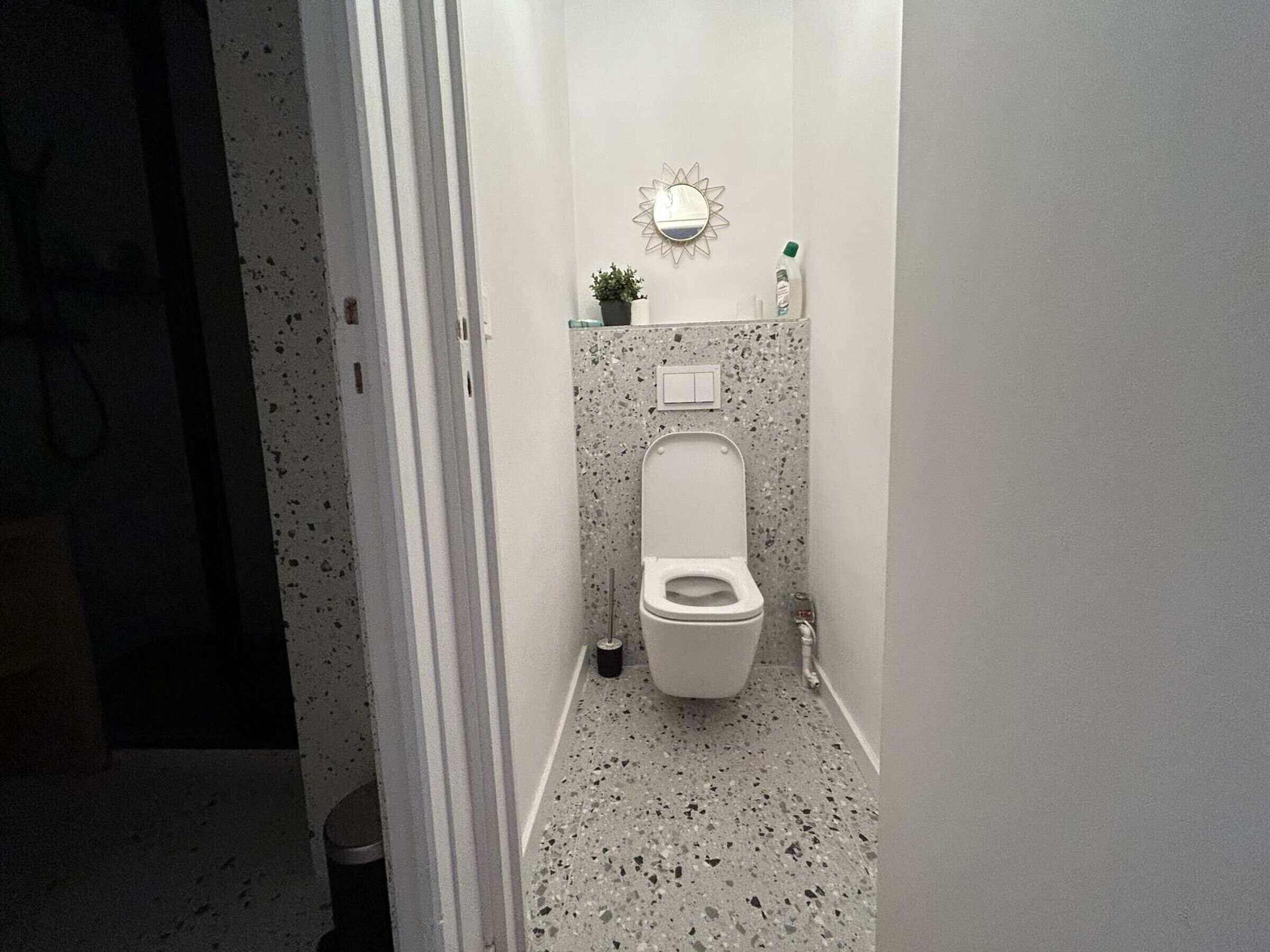 Une salle de bain avec des toilettes blanches, une petite plante en pot et un miroir au mur.