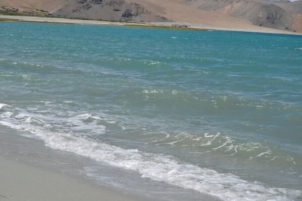 View from property - Martsemik Camping & Resort Shachukul (Leh)