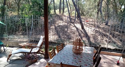 Villa nestled in pine forest 3 minutes from the beach