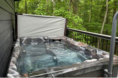 Modern 2BR Cabin w/ Hot Tub Near Carbondale