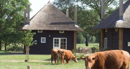 5-person holiday home with Finnish sauna