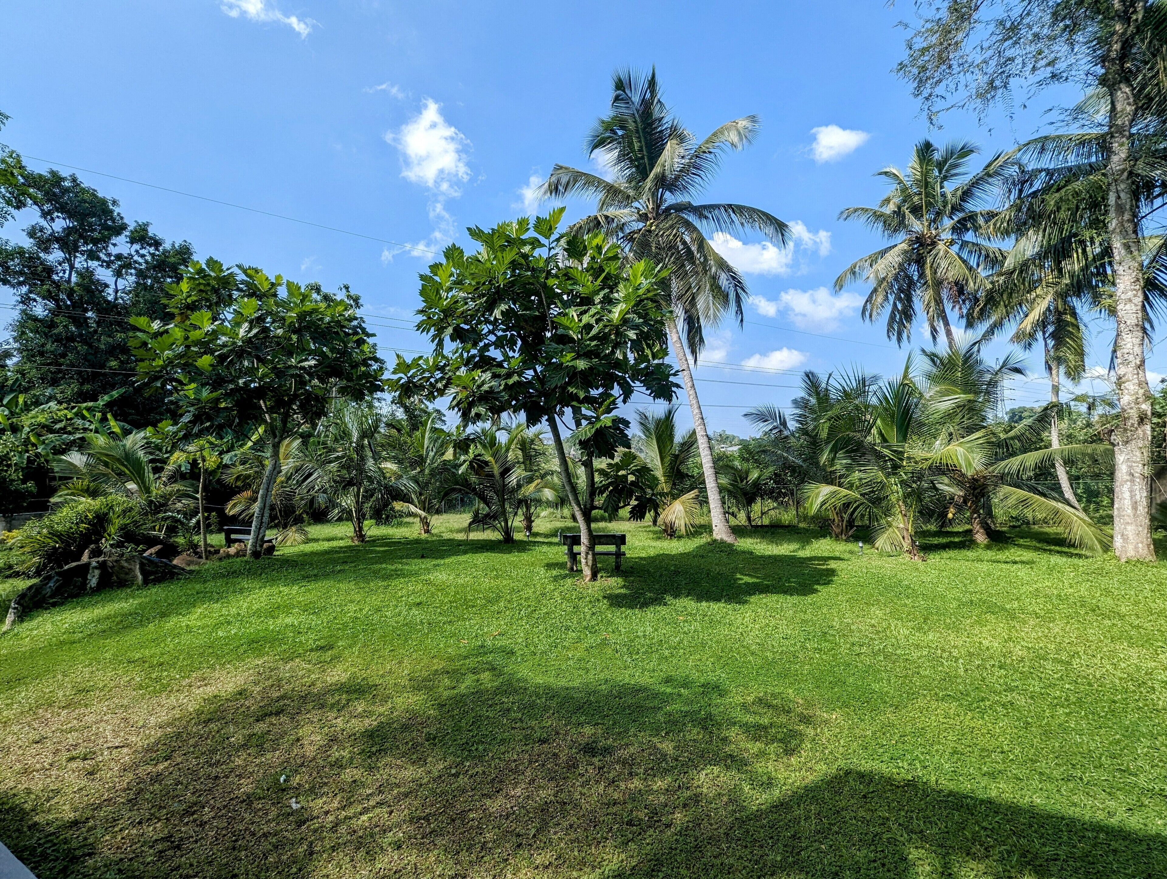 Overnattingsstedets uteområder