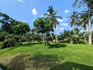 Property grounds - The Villa Close to Surf Beach and Galle Fort (Galle)