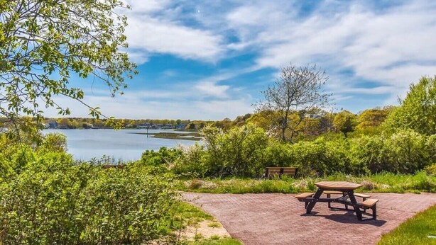 A picnic area with a table and benches, surrounded by greenery and a body of water.