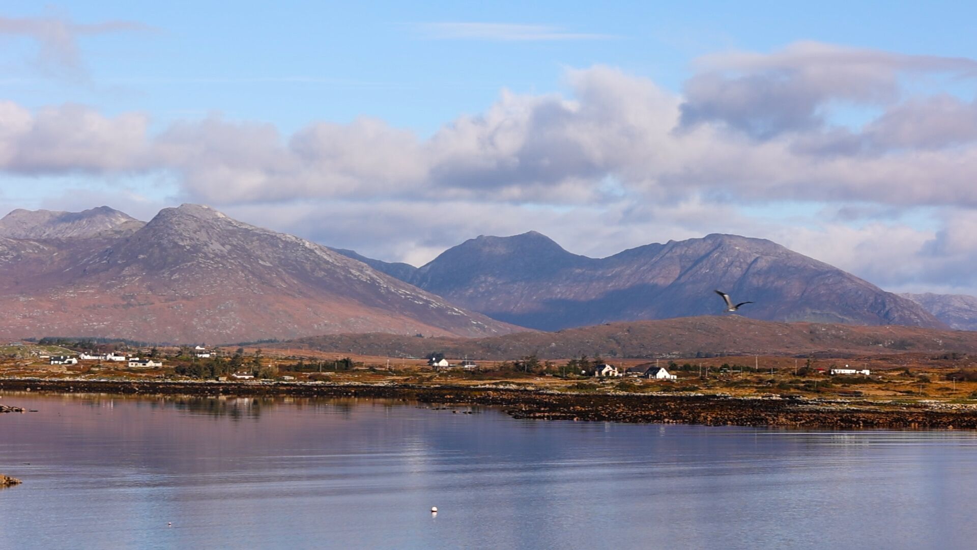 A scenic landscape with mountains, a body of water, and a bird flying.