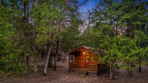 Une petite cabane en bois, entourée d’une forêt dense.