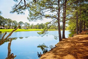 House, 3 Bedrooms | Miscellaneous