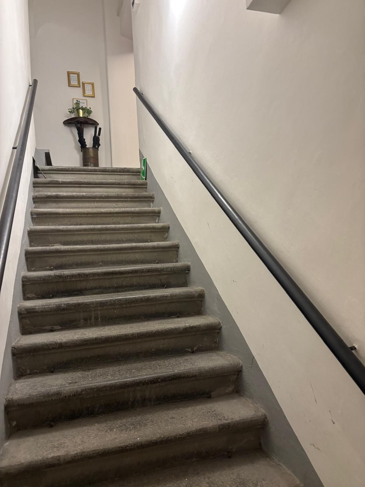 Un escalier muni d’une rampe, menant à un palier où se trouvent une plante en pot et des certificats encadrés.
