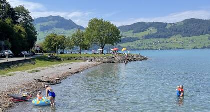 the 1415 Lake I Experience I Mountain I Luzern