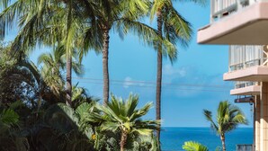 A view of a coastal area with palm trees and a building with balconies overlooking the sea.