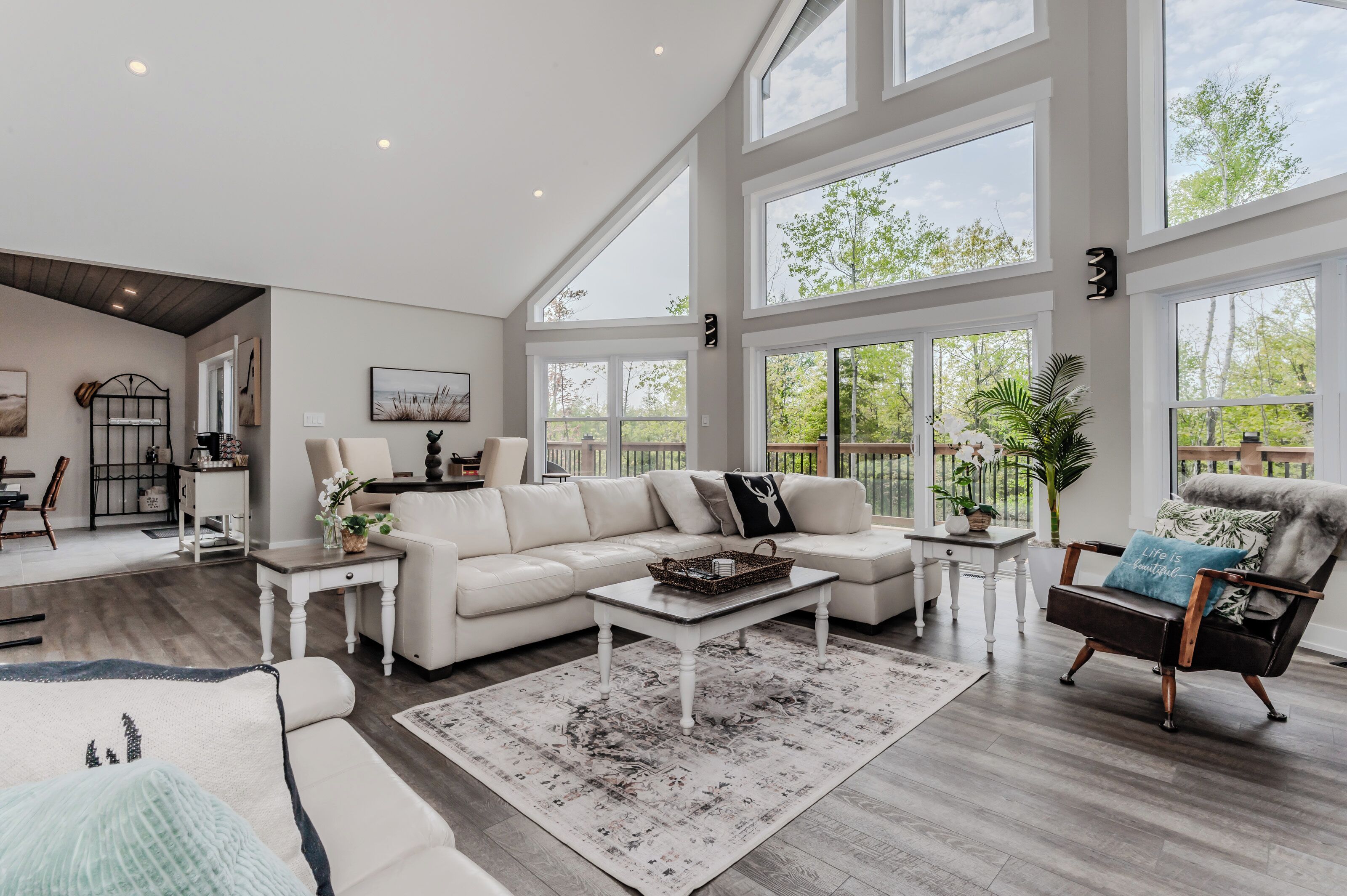 Smart TV, chimenea y reproductor de DVD 