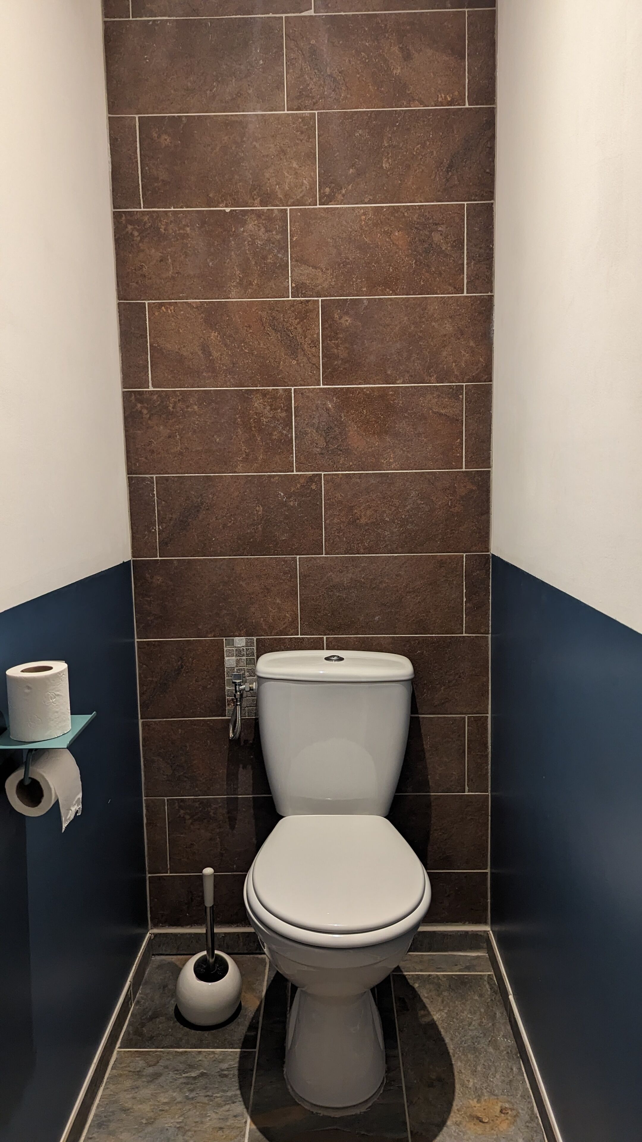 Un baño con inodoro, dispensador de papel higiénico y émbolo.