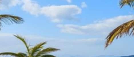 Puerto deportivo