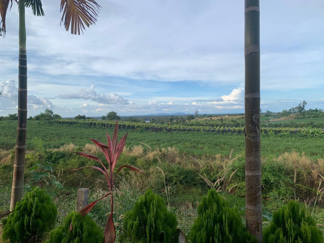 Pemandangan dari properti