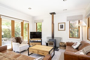 Smart TV, fireplace, books