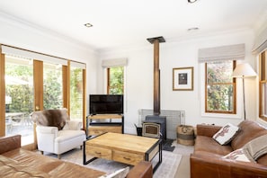 Smart TV, chimenea y libros