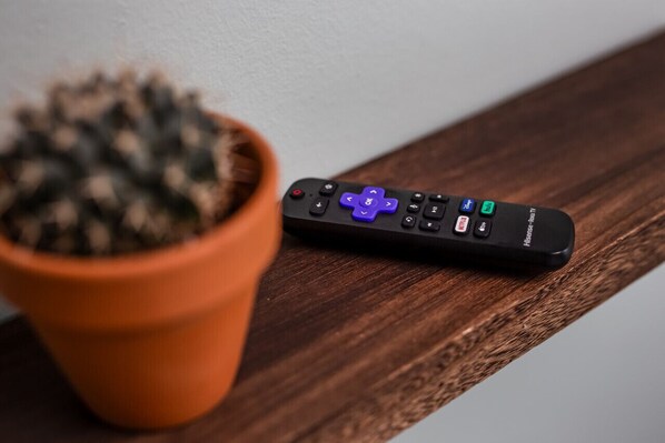 A remote control on a wooden surface next to a potted plant.