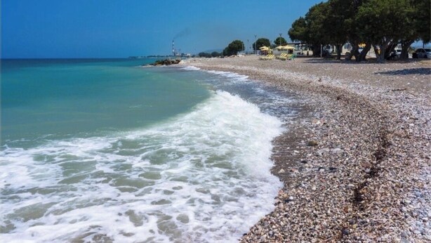 A pebbled beach with clear water, trees, and distant buildings.