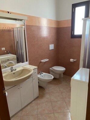Shower, hair dryer, bidet, soap