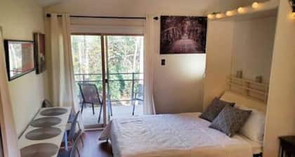 Top-floor w/ view, Walk to Sanford Stadium