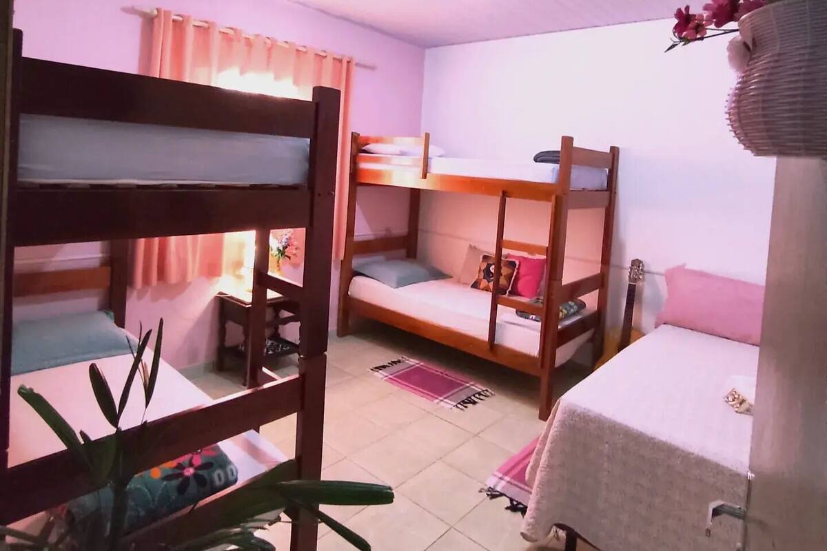 A room with bunk beds, a small table, and a potted plant.